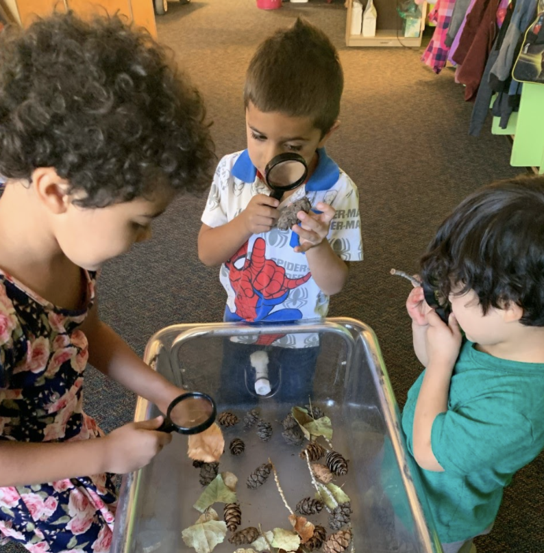 preschools examining leaves with magnifying glasses preschools examining leaves with magnifying glasses